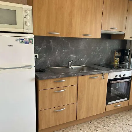 2 Pieces Climatise Avec Terrasse Et Parking Prive - 6 Couchages - - Fr-1-250-257 Appartamento Le Grau-du-Roi