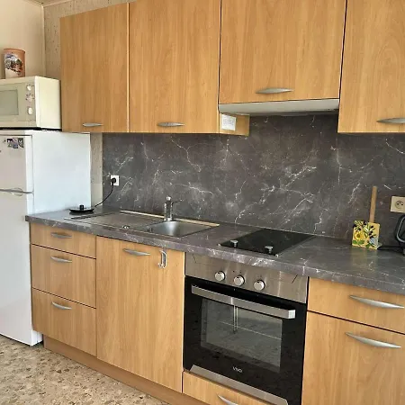 2 Pieces Climatise Avec Terrasse Et Parking Prive - 6 Couchages - - Fr-1-250-257 Le Grau-du-Roi