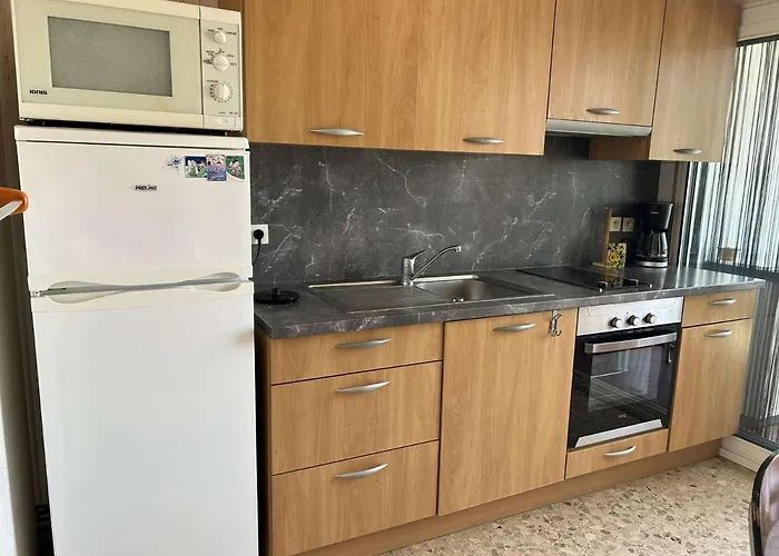 2 Pieces Climatise Avec Terrasse Et Parking Prive - 6 Couchages - - Fr-1-250-257 Apartmán Le Grau-du-Roi