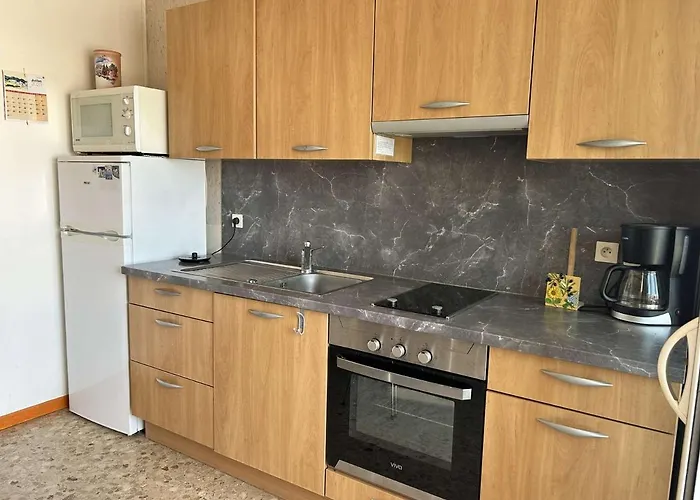 2 Pieces Climatise Avec Terrasse Et Parking Prive - 6 Couchages - - Fr-1-250-257 Le Grau-du-Roi