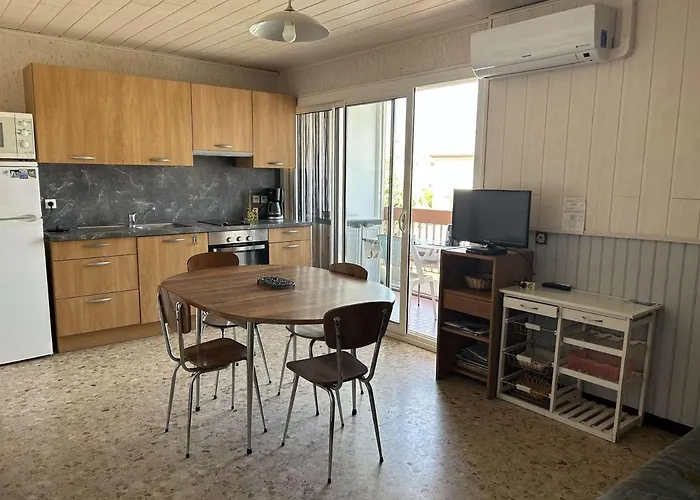 Apartmán 2 Pieces Climatise Avec Terrasse Et Parking Prive - 6 Couchages - - Fr-1-250-257 Le Grau-du-Roi